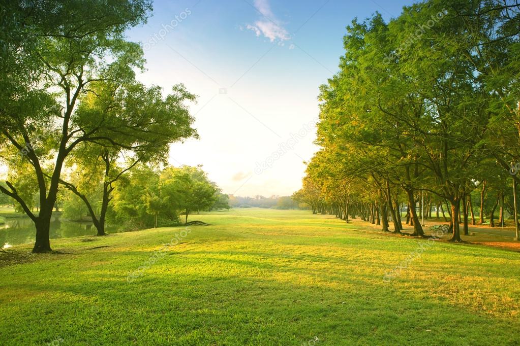 Relacionamento Online na Belo Campo