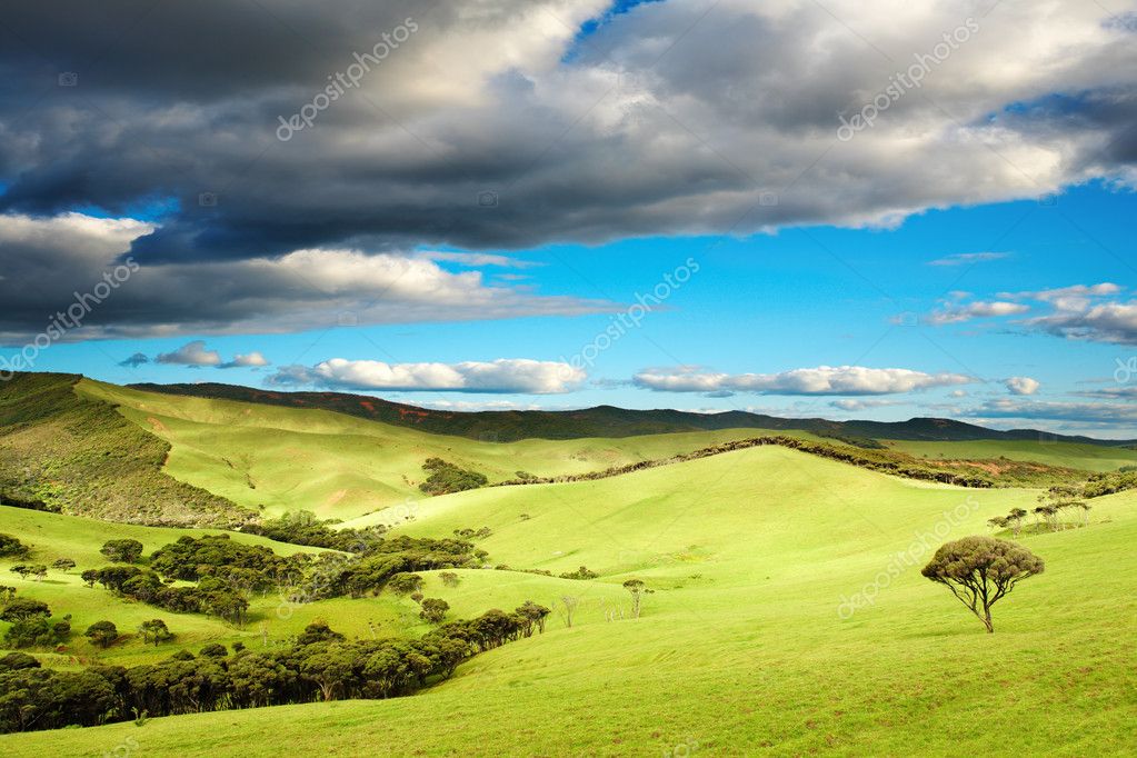 Relacionamento Online na Campo Bonito