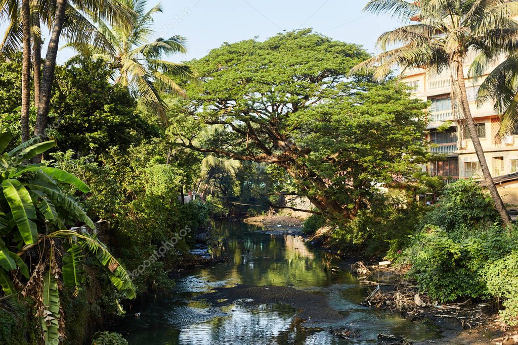 Relacionamento Online na Conceição do Rio Verde