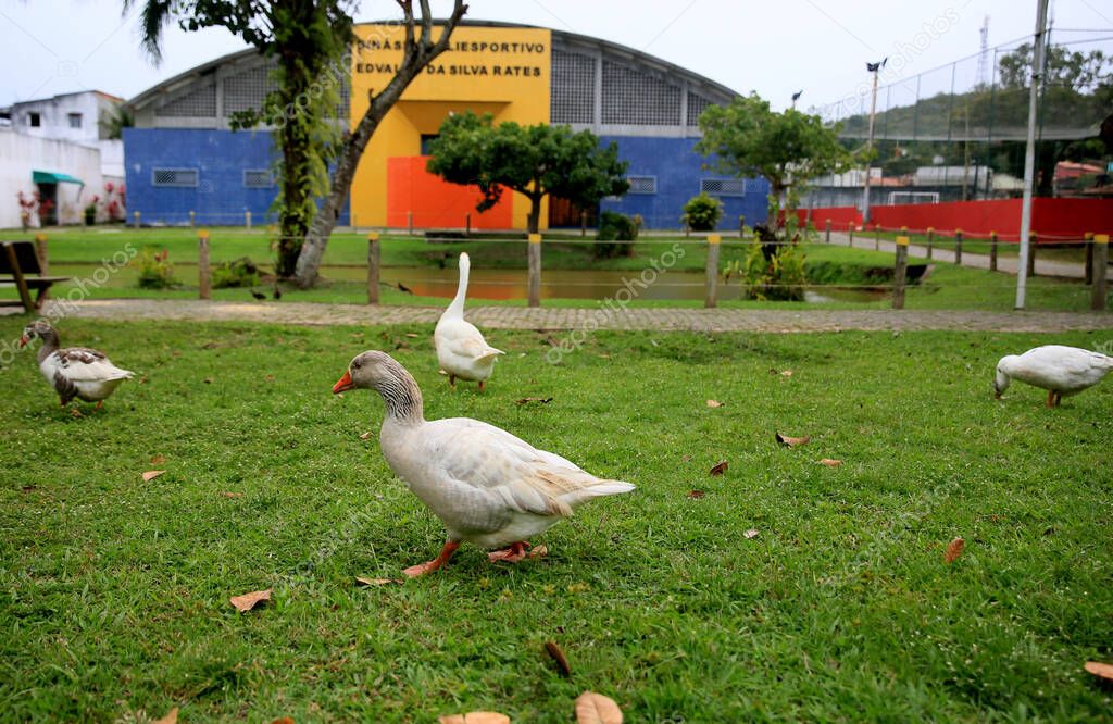 Relacionamento Online na São João da Mata