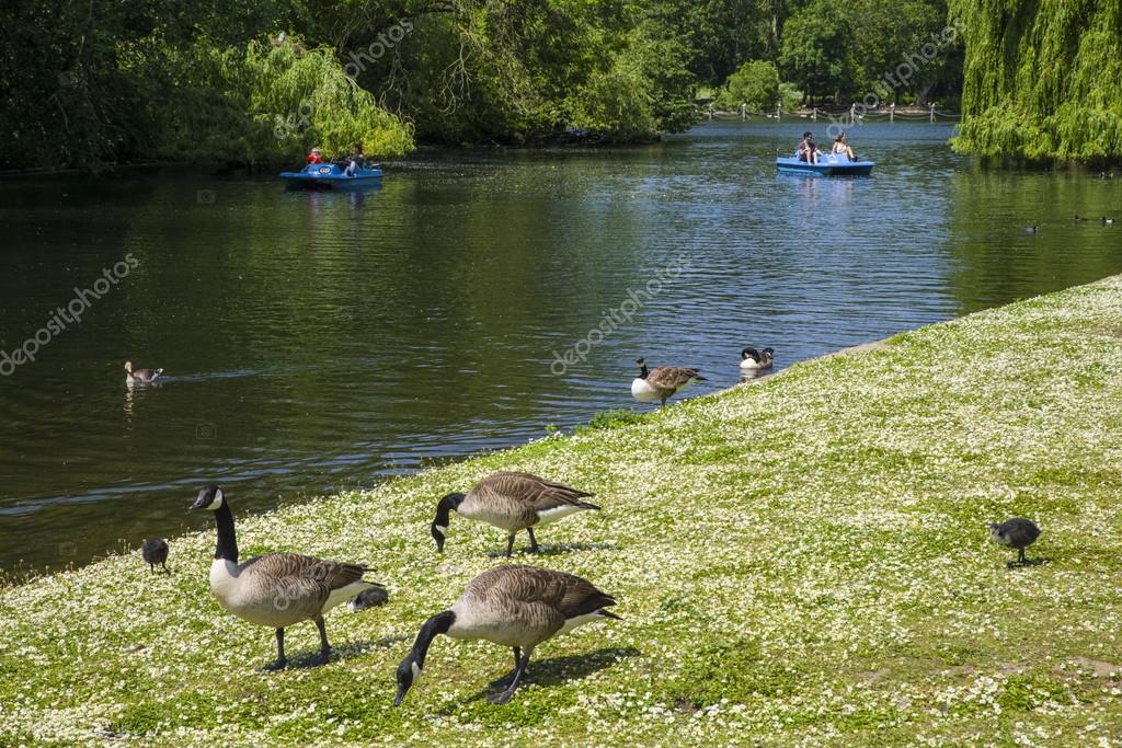 Relacionamento Online na São João dos Patos