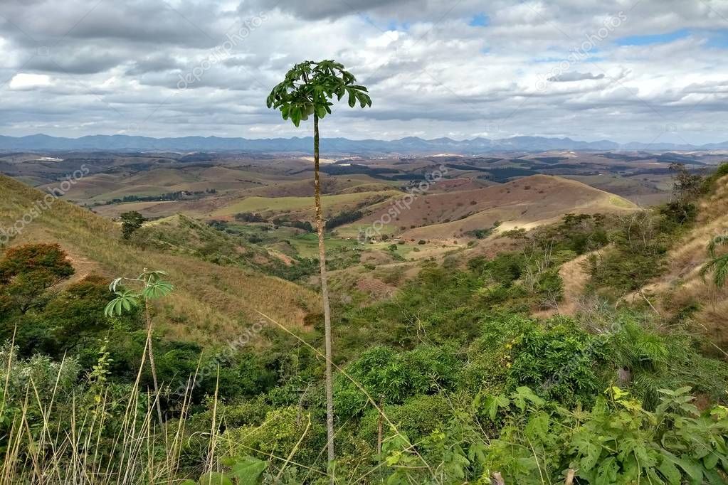 Relacionamento Online na Visconde do Rio Branco