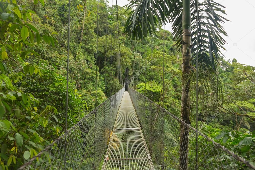 Citas Online en Monteverde