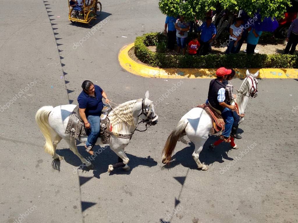 Citas Online en San Isidro de Comalcalco