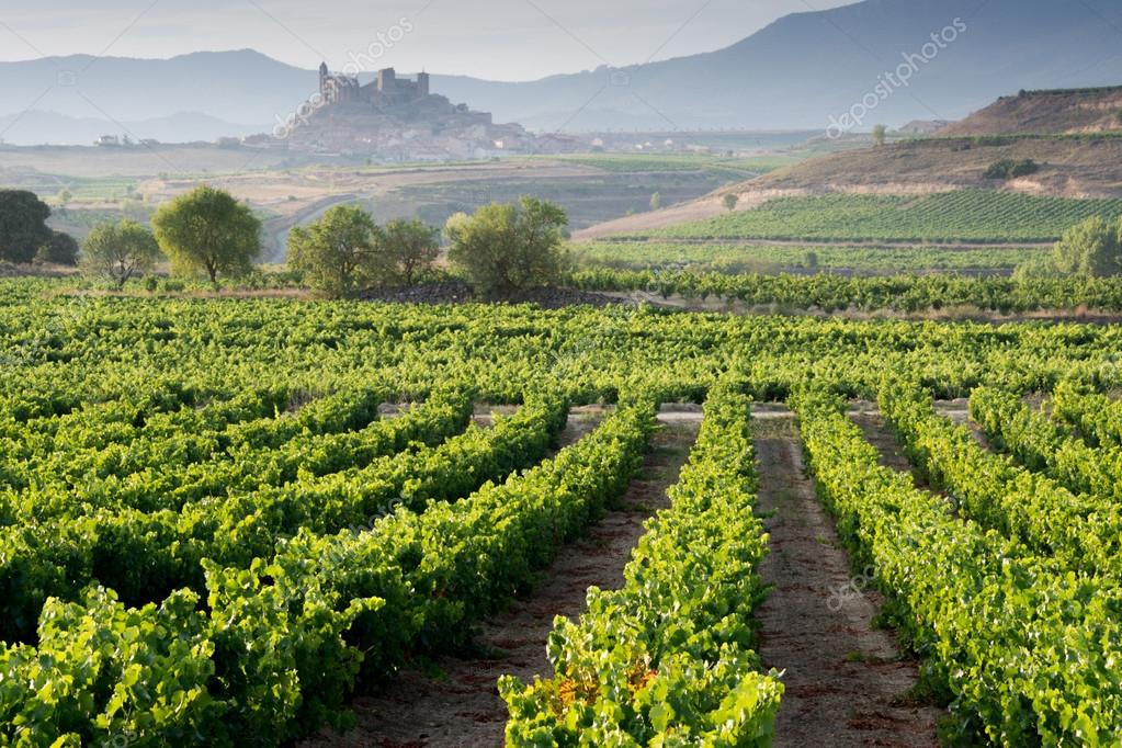 Citas Online en Rioja 