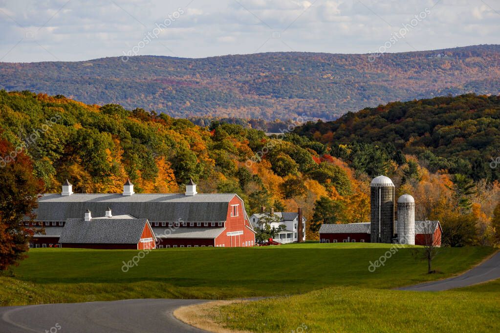 Online dating in Pine Plains