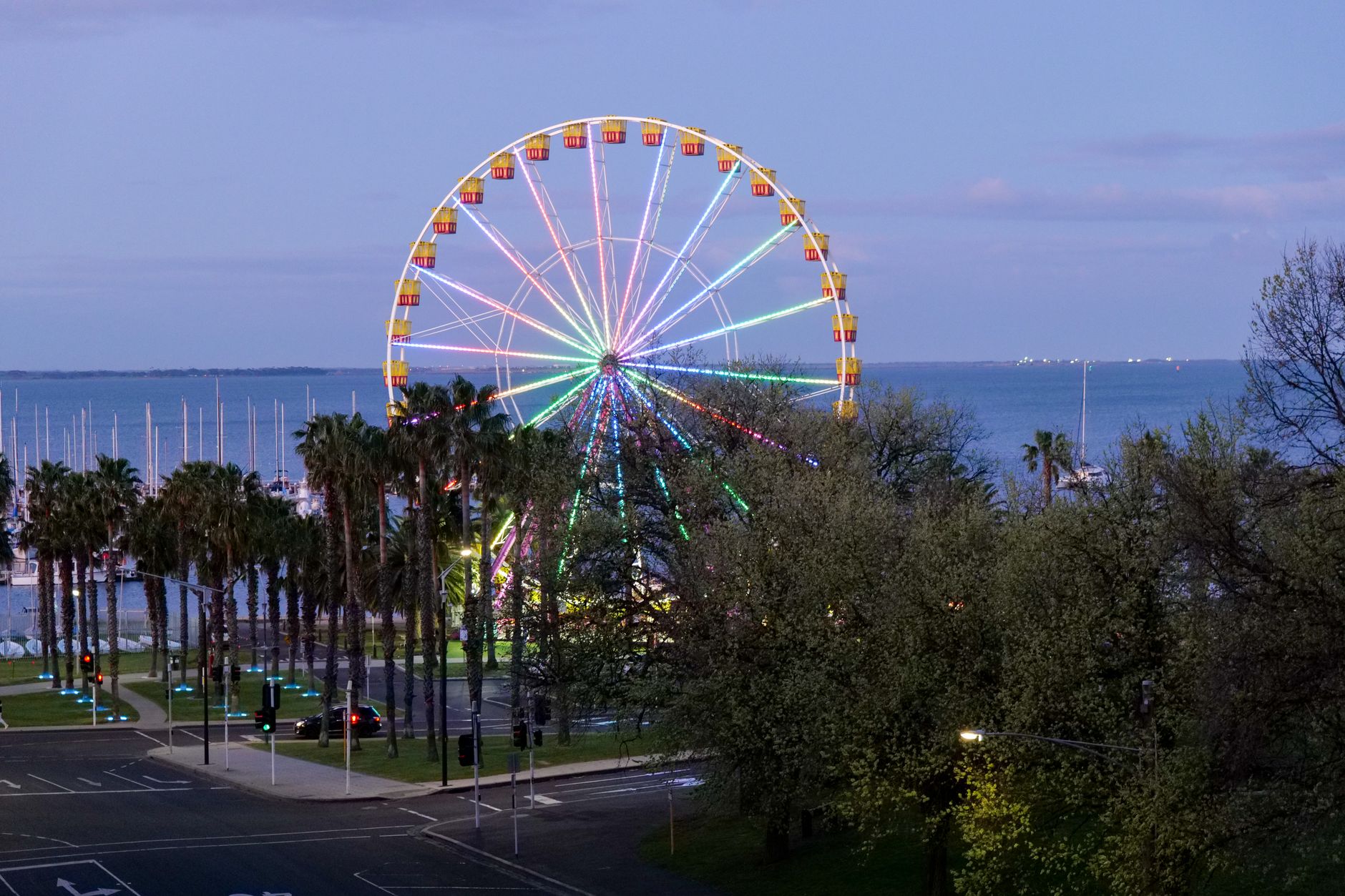 Geelong locals looking for someone to share the bay with