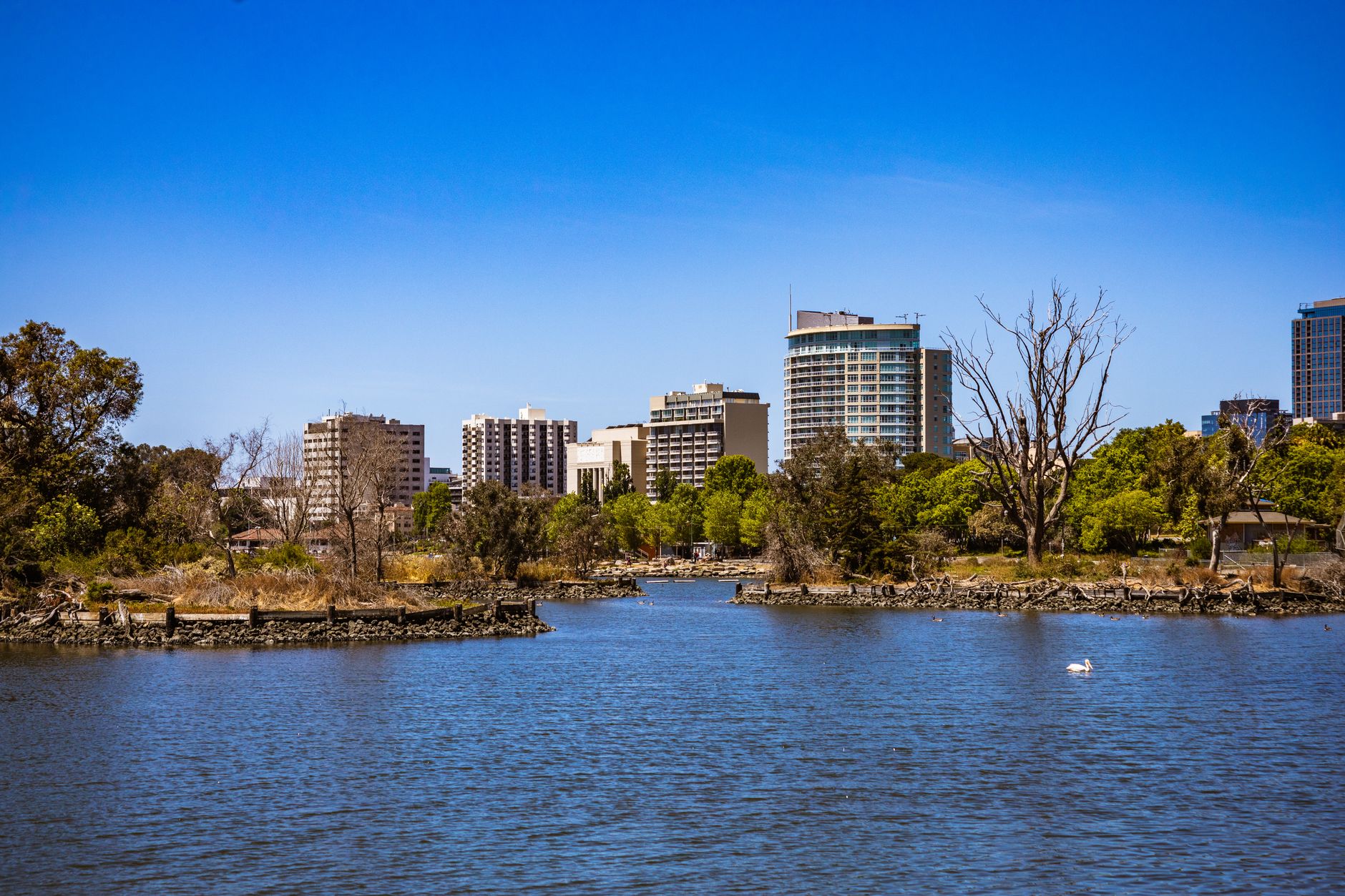 What draws Mildura singles to online dating?