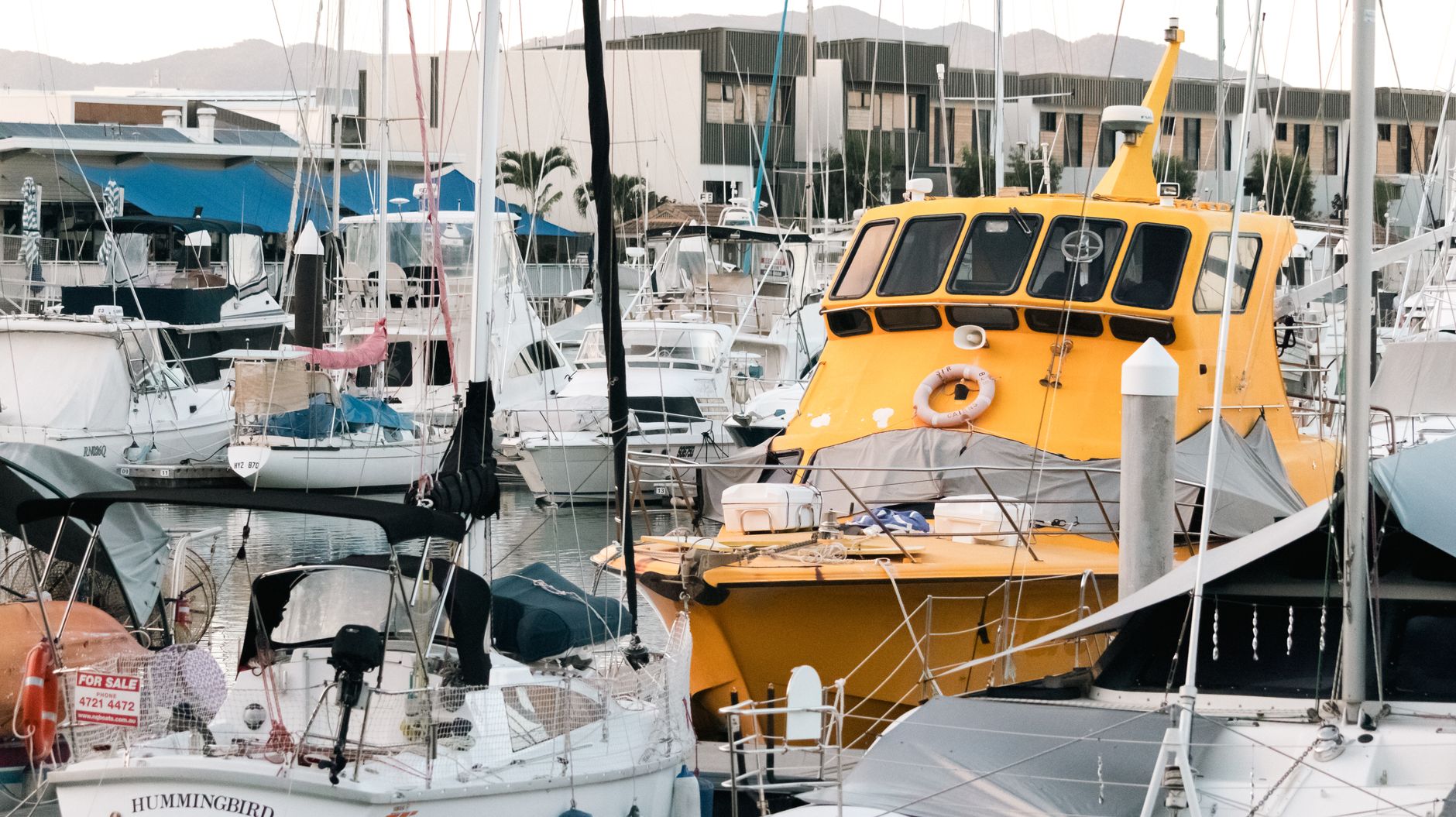 What draws Townsville singles to online dating?