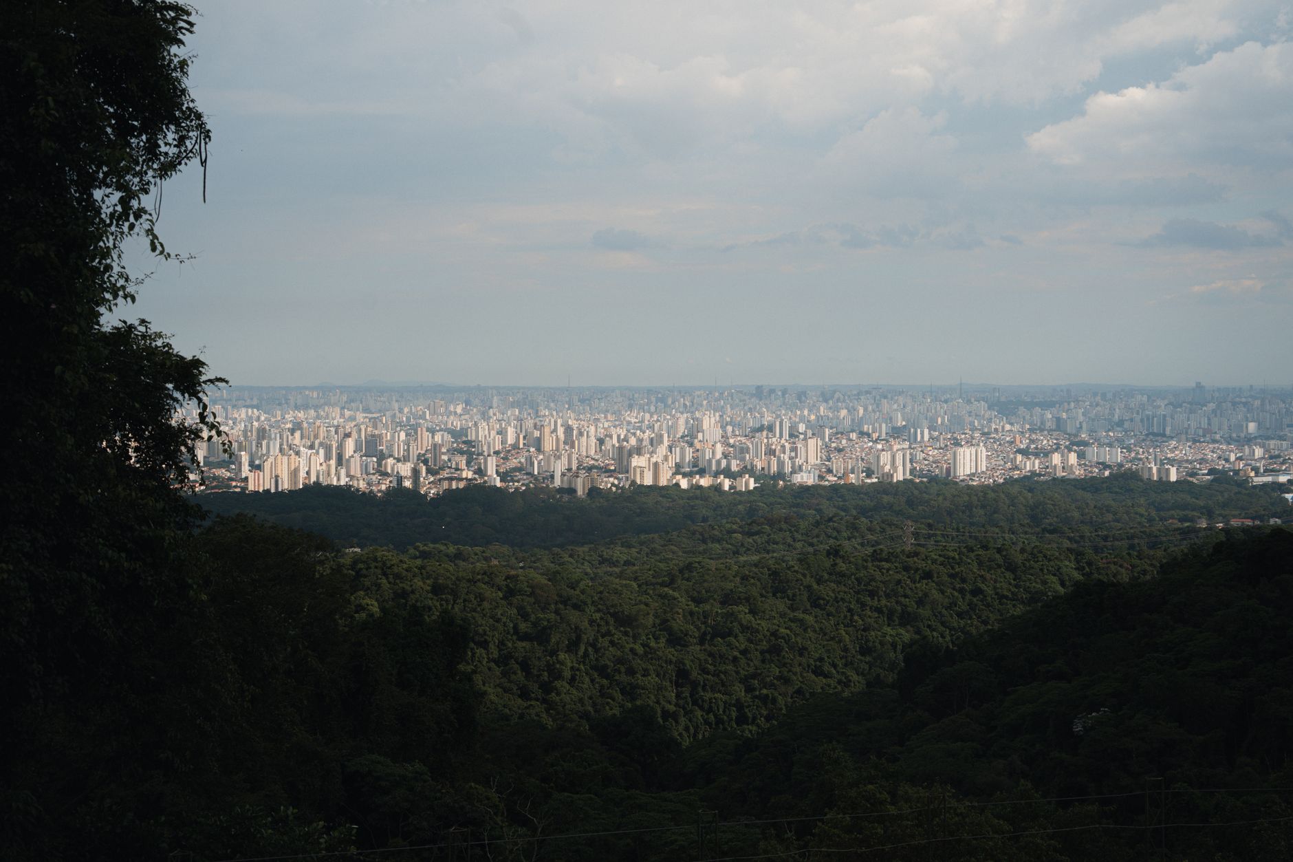 Por que usar o Kismia em Paulo Afonso