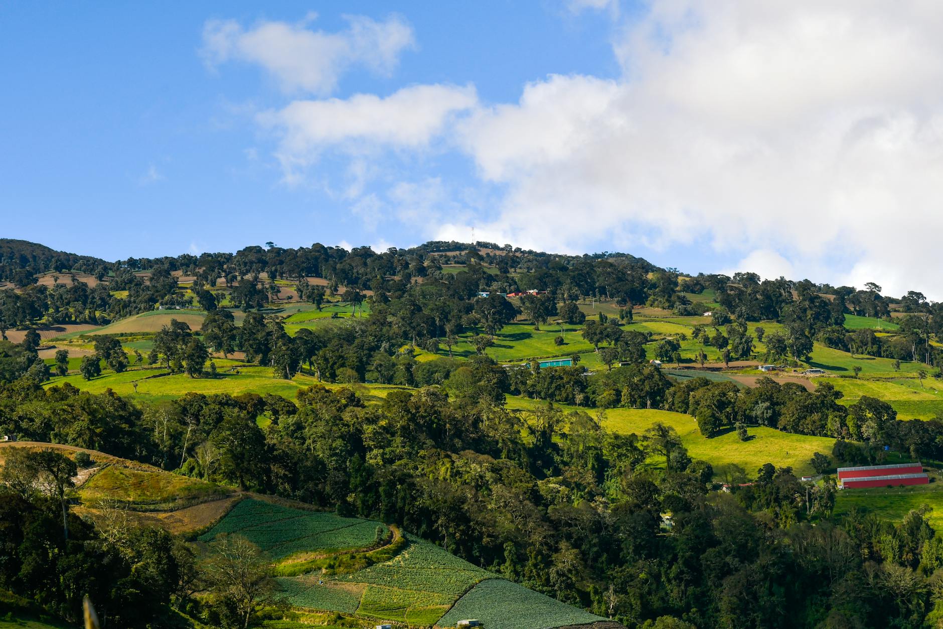 ¿Por qué usar el sitio de citas Kismia en Cartago?