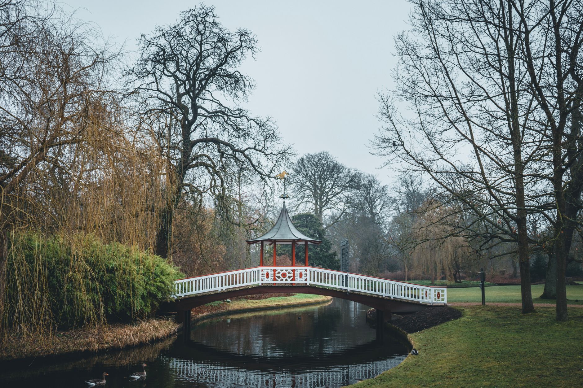 Connect with singles in Frederiksberg