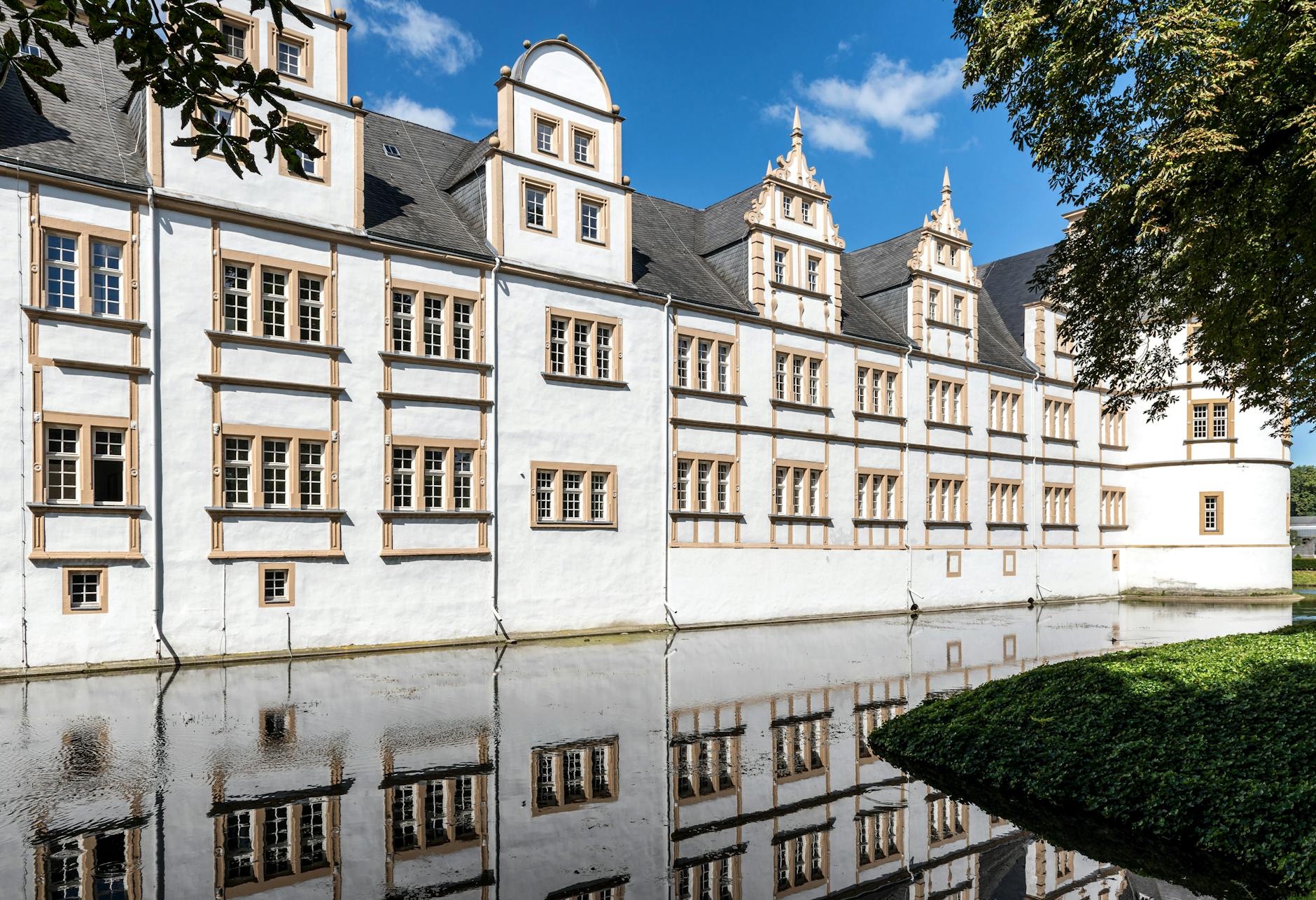 Warum solltest du Kismia in Paderborn nutzen?