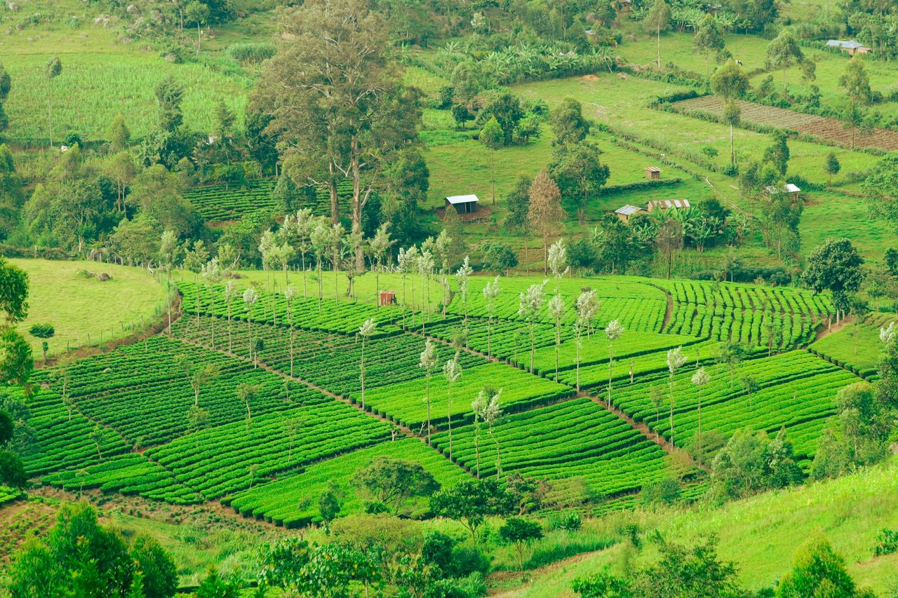 Dating in Kakamega Just Got Way Easier