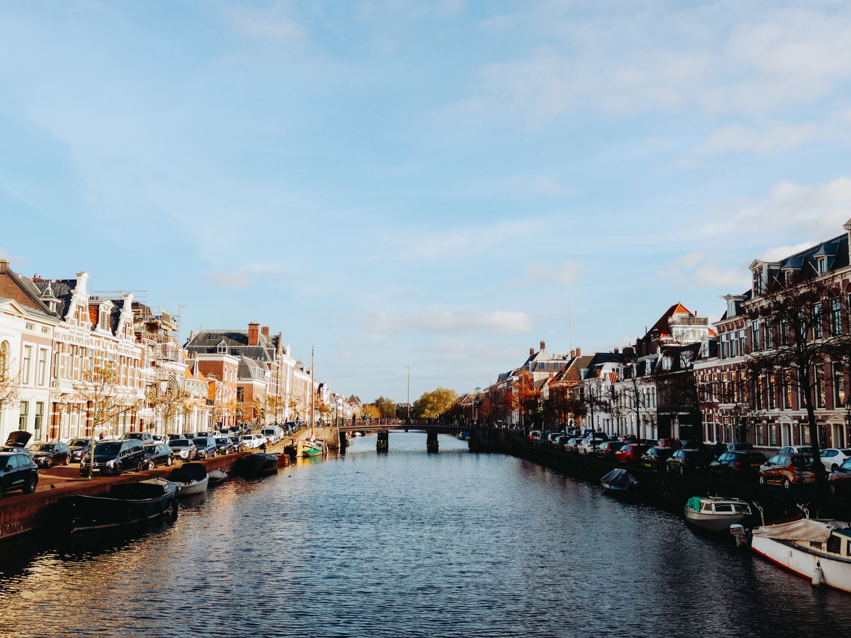 Why Kismia Works for Dating in Haarlem