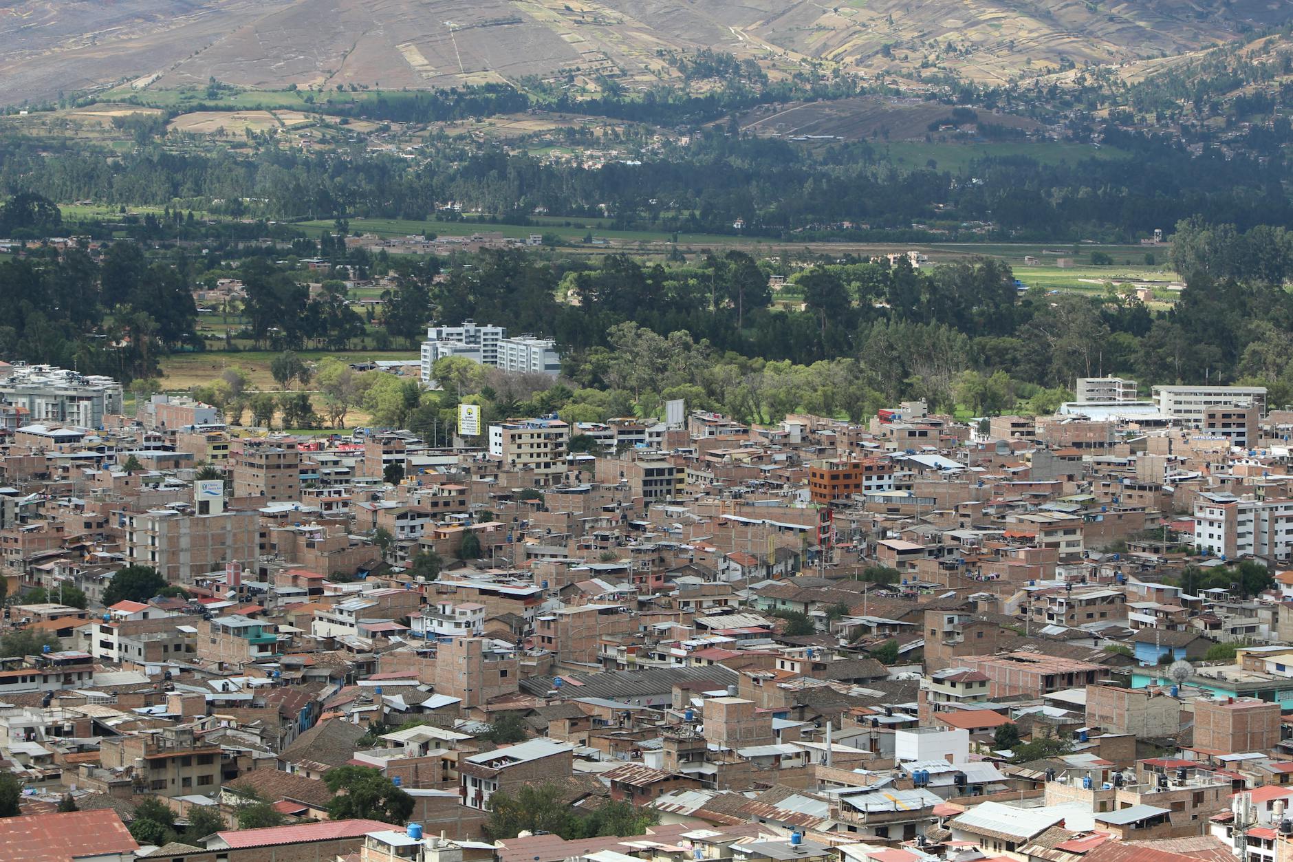 ¿Por qué elegir Kismia en Moyobamba?