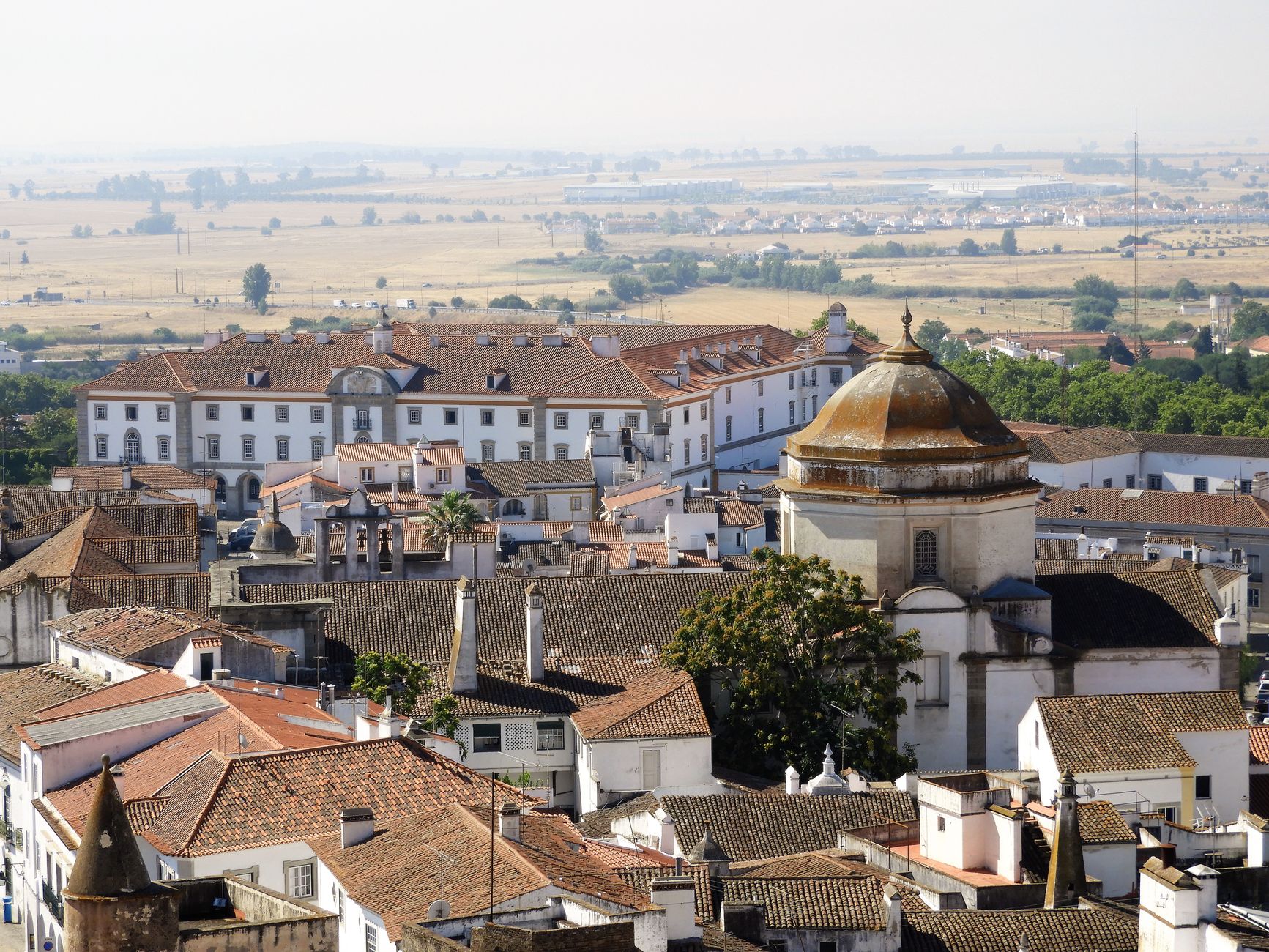 Kismia funciona mesmo em Évora