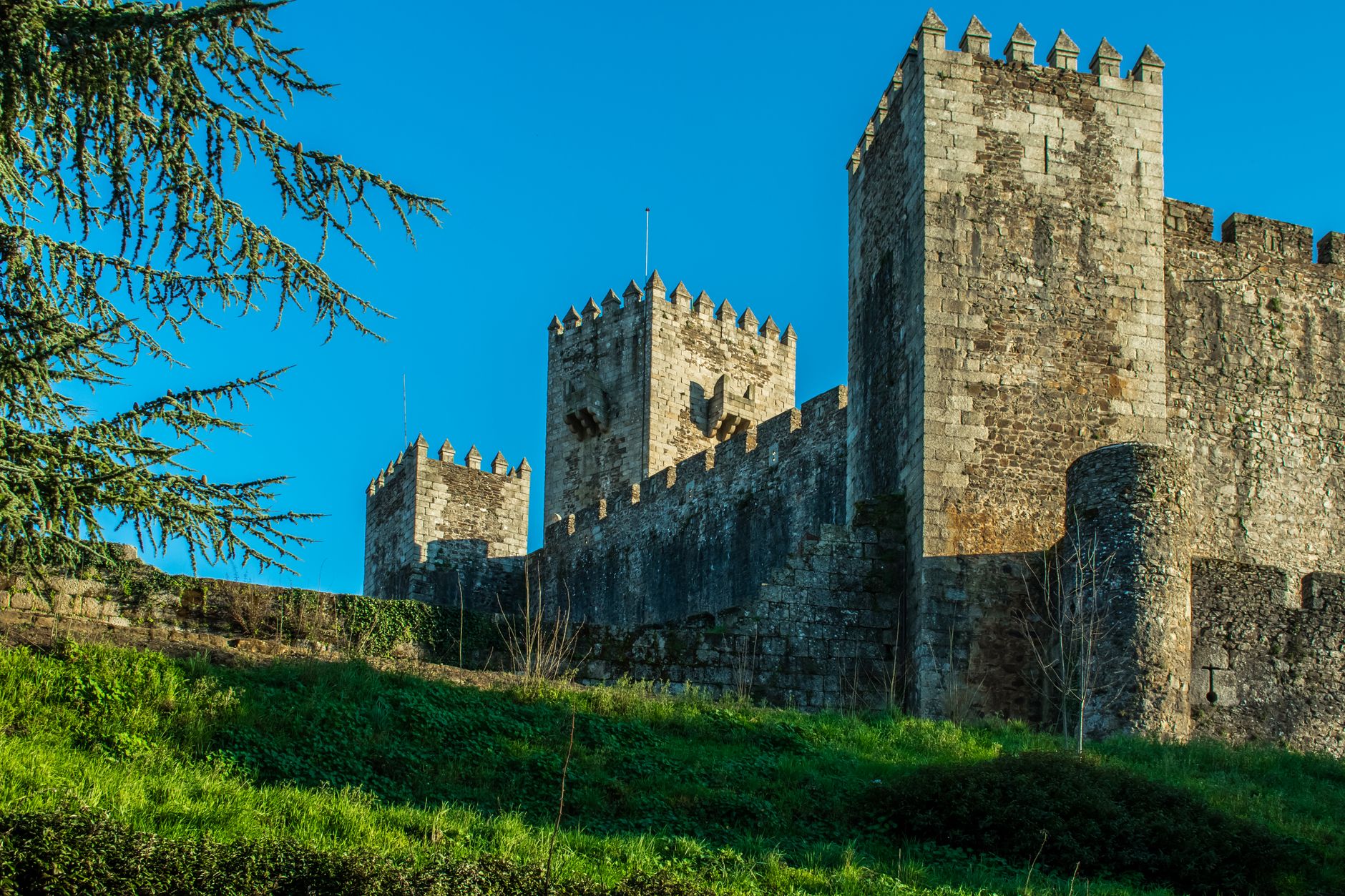 Por que usar o Kismia em Guarda