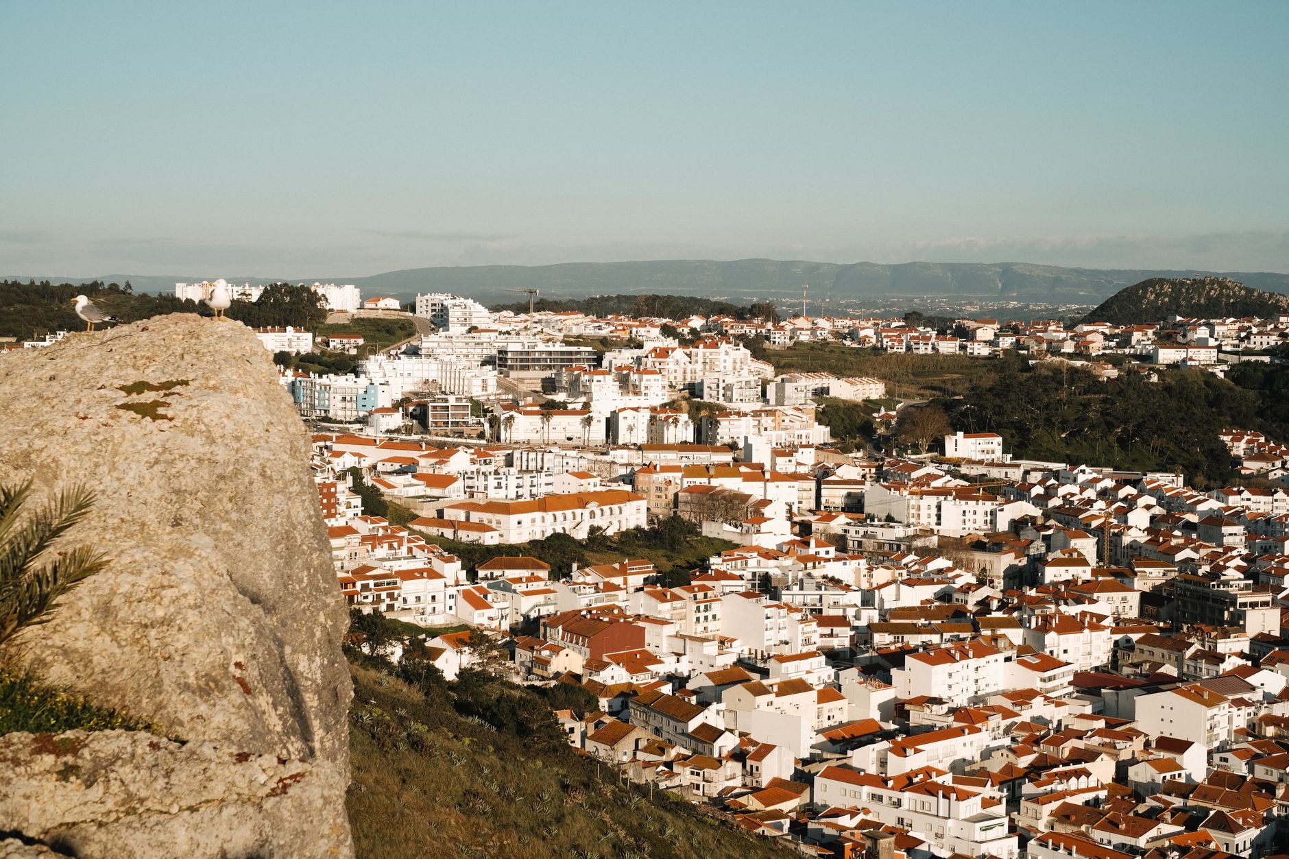 Como os solteiros em Sesimbra escolhem interagir aqui?