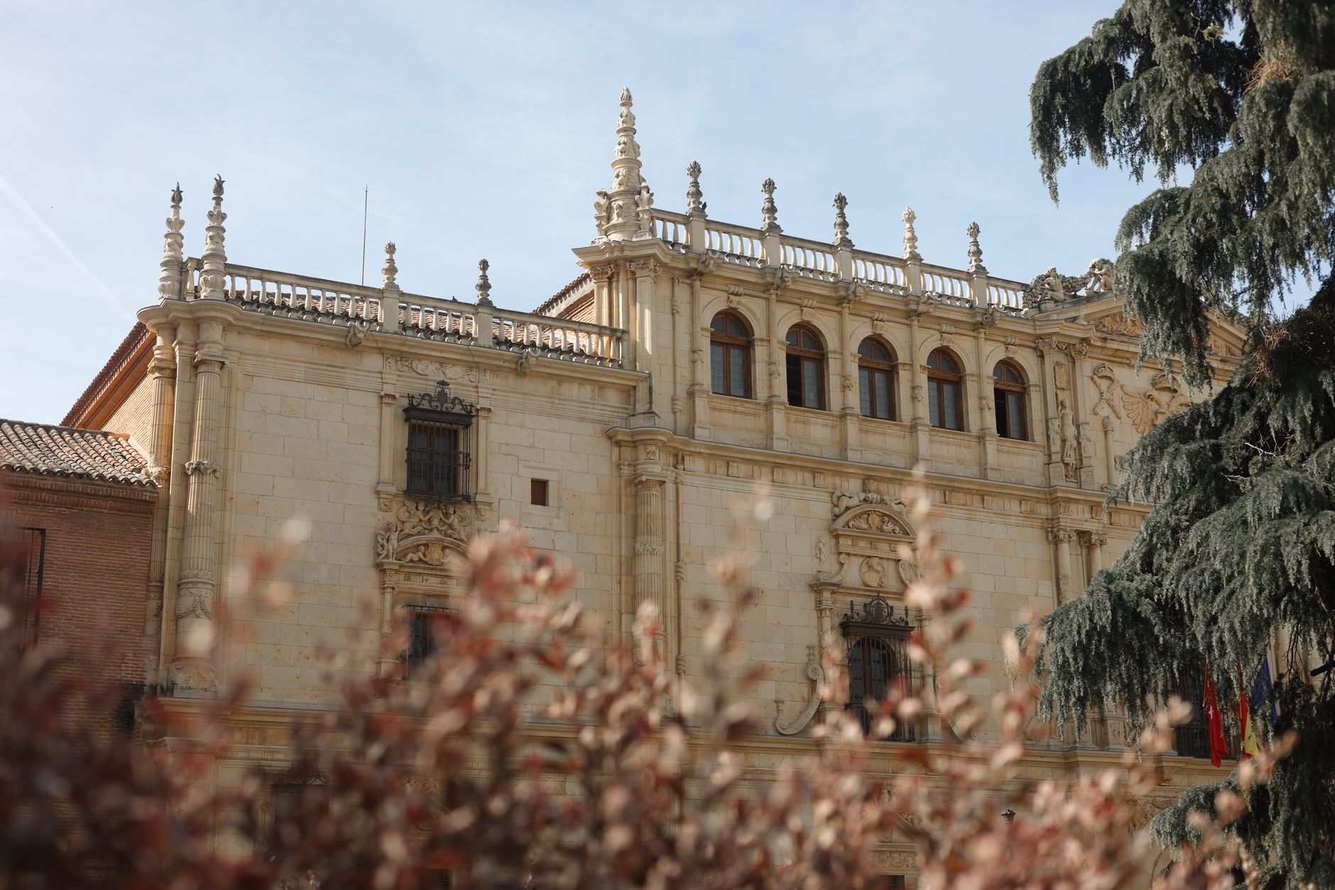 Por qué usar Kismia para citas en Alcalá de Henares