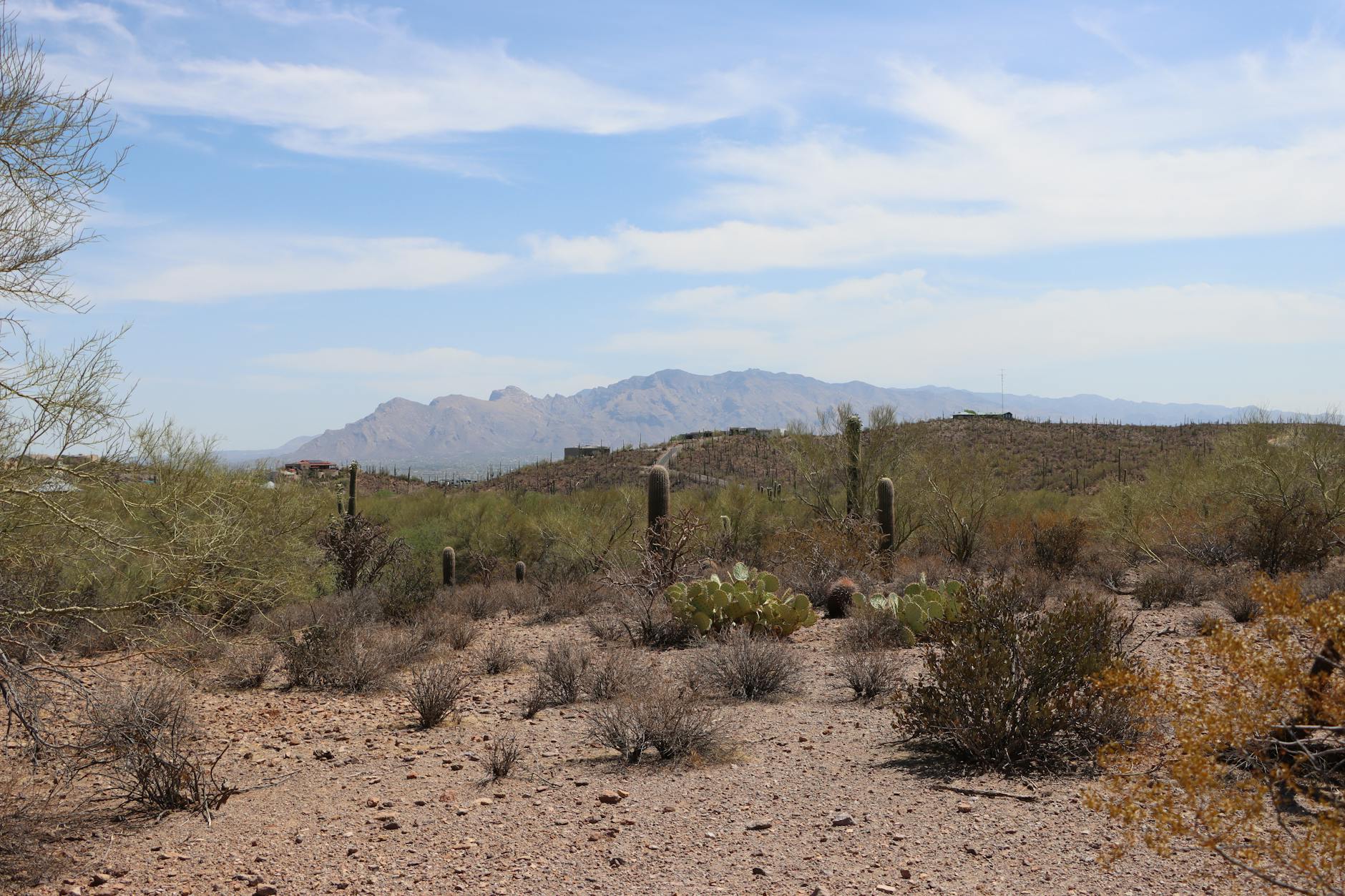 ¿Por qué usar el sitio de citas Kismia en Tucson?